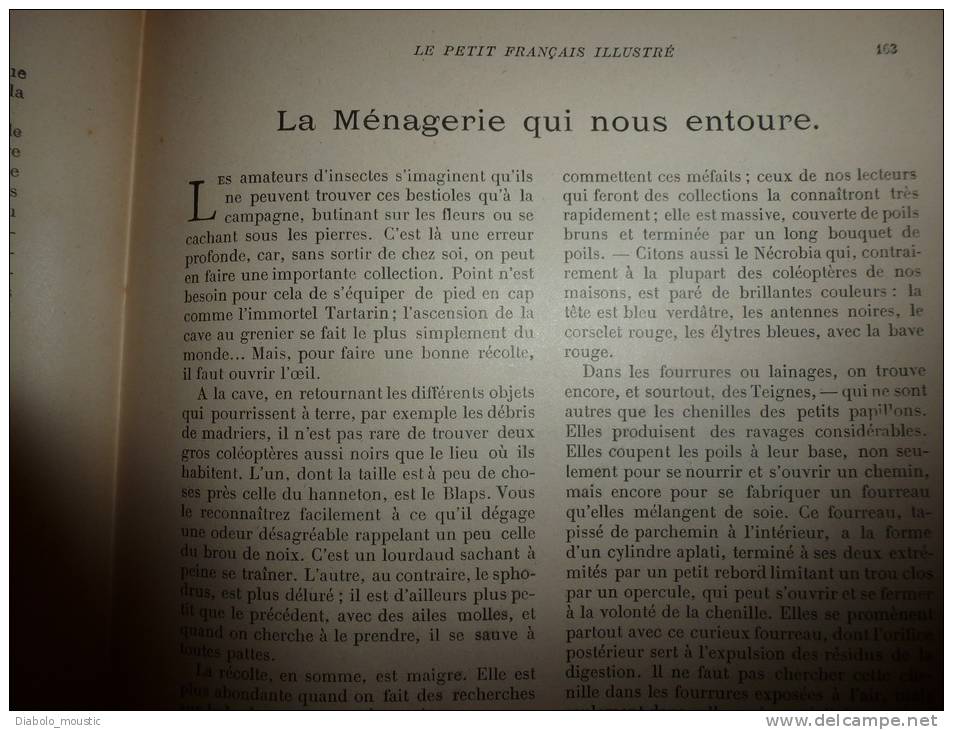 1902 Le Petit Français Illustré: Déjeuner CHINE;Faune Chez-soi; Myrto Et Myrtille ;Origine "Pataquès";ZURICH Fait Mieux - 1901-1940