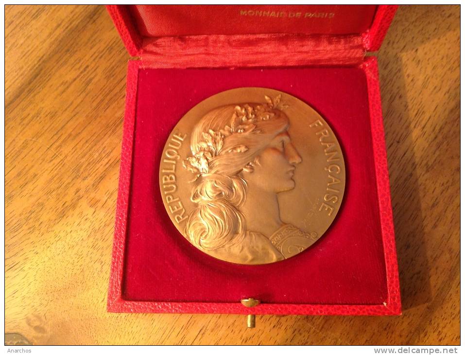 Médaille Bronze République Française Monnaie De Paris (offert Par Président République 1972) - Sonstige & Ohne Zuordnung