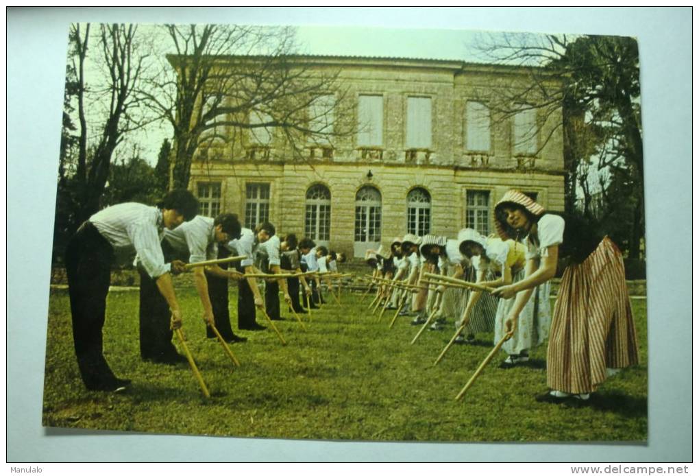 D 34 - Montpellier - Groupe Folklorique De Montpellier - La Garriga - Les Bâtons "les Lignes" - Montpellier