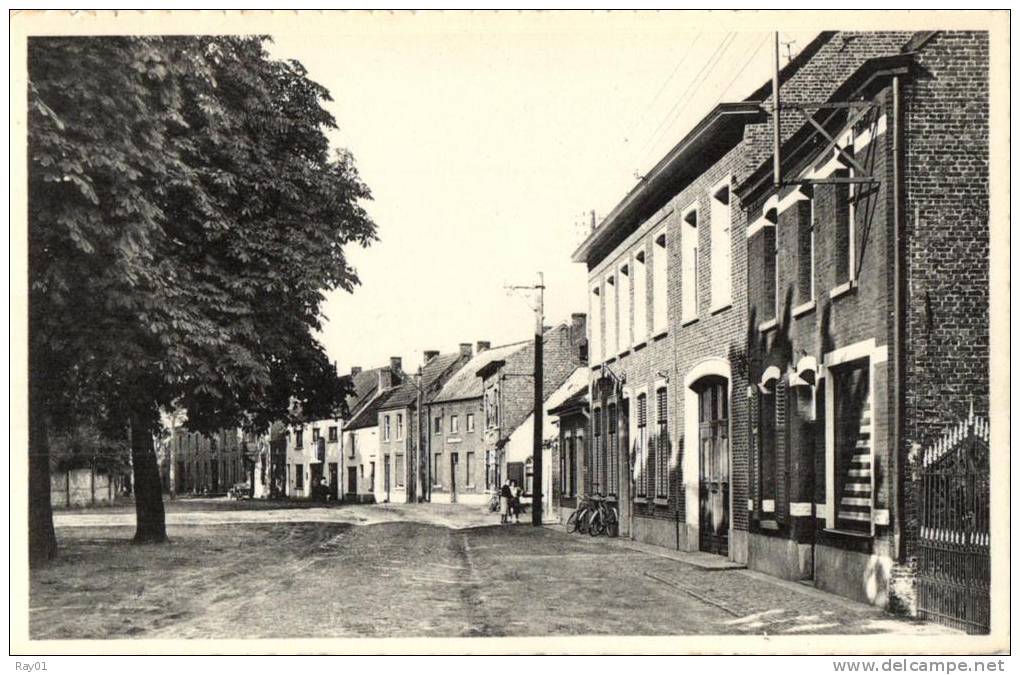 BELGIQUE - FLANDRE ORIENTALE - BERLARE - Zicht Op Der Briel. - Berlare