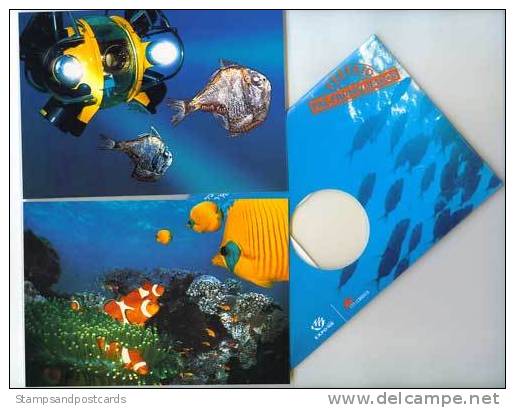 Portugal 6 Cartes Entier Postaux Expo 98 Poisson Plonge Bateaux 6 Postal Stationery Expo 98 Themes Fish Diving Boats - Plongée