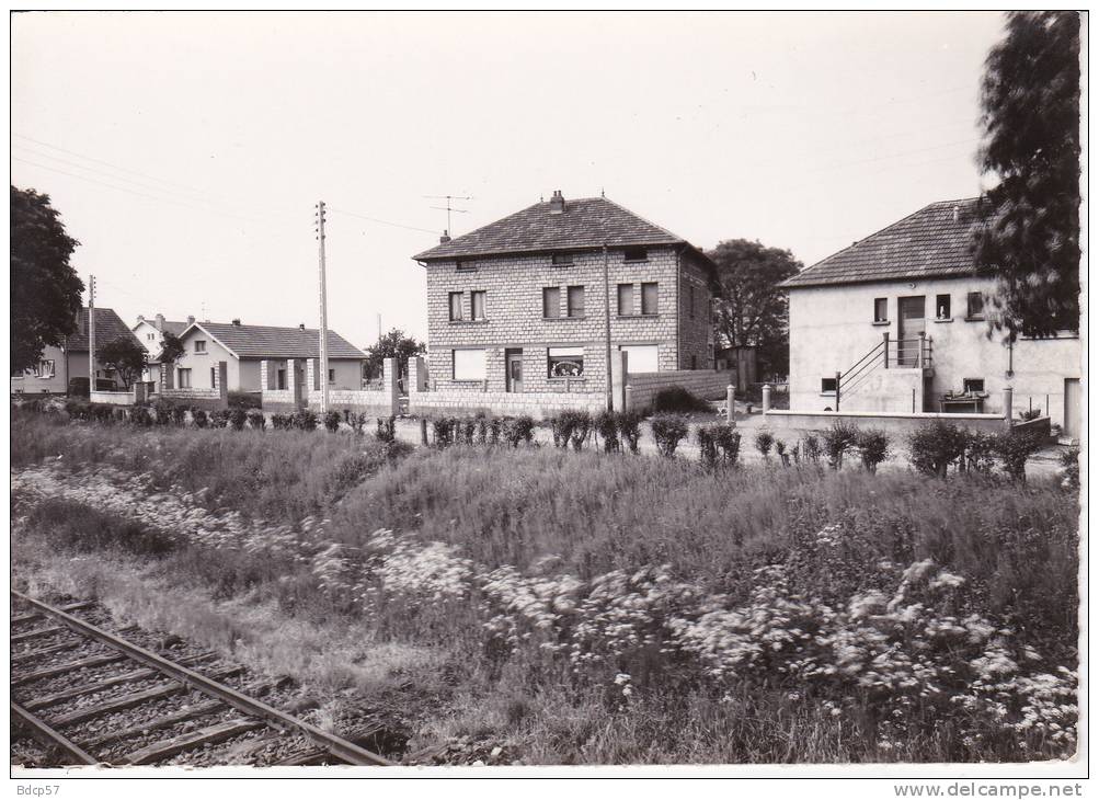 55 - MEUSE - SPINCOURT - Nouveau Quartier - Dentelée -  Format  10,4  X  14,8 - Cliché  GALLOY - VERDUN - Spincourt