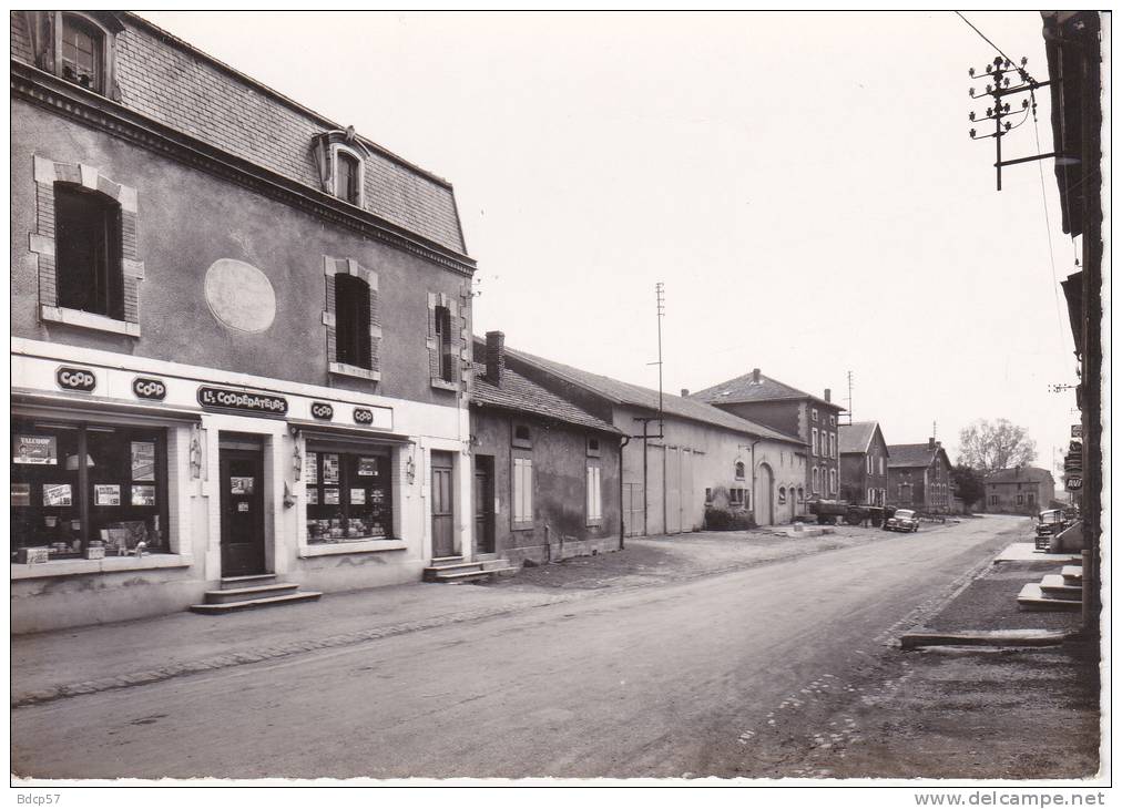 55 - MEUSE - SPINCOURT -  Rue Du Faubourg - Dentelée -  Format  10,4  X  14,7  - Cliché  GALLOY - VERDUN - Spincourt