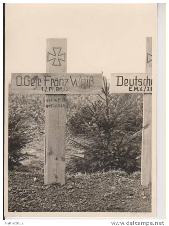 Friedhof Grab II. Weltkrieg O.Gefr. Franz Weiß 1./Pi.Btl. 121 Sw 1944 - Soldatenfriedhöfen