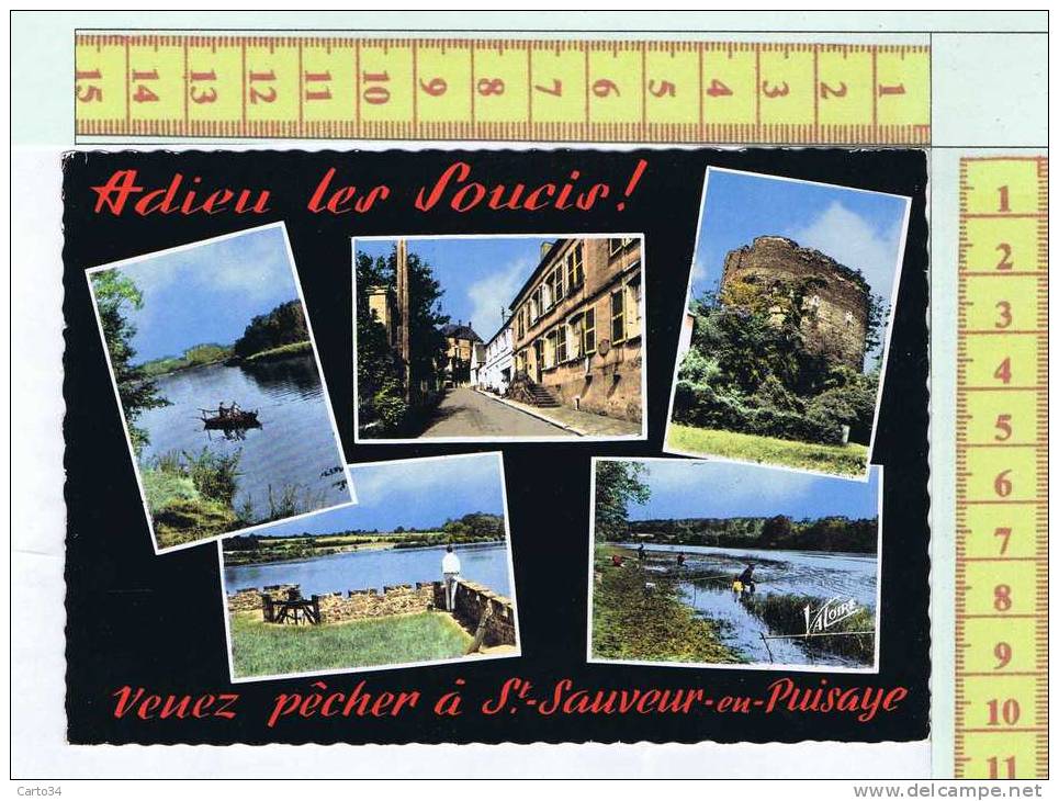 89  SAINT SAUVEUR EN PUISAYE - Saint Sauveur En Puisaye