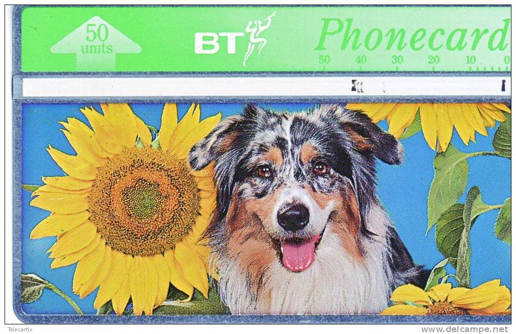 Royaume-Uni BT Phonecard 50Units Vide Et TTB **** N° Lot :563E83023 RARE Carte 2 Sur Série De 4 - Sammlungen