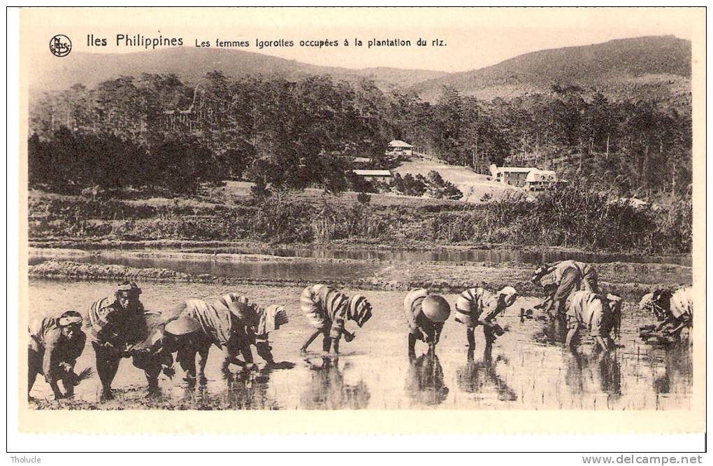 Iles Philippines-Les Femmes Igorottes Dans La Plantation De Riz-Edit.: Nels Pour Les "Missions De Scheut" - Filipinas