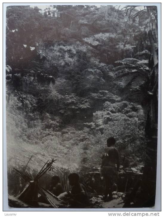 Vanuatu - New Hebrides - South Malekula - Small Nambas Village Scene - Vanuatu