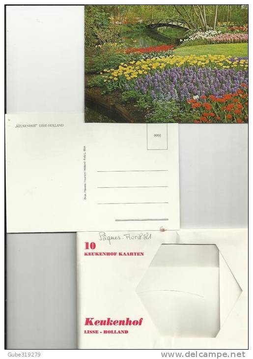 NETHERLANDS 1981 - PACK WITH SET OF 10 POSTCARDS (all Different) - LISSE -(DUNE & BULB) KEUKENHOF NEW - UNUSED- ESTER AP - Lisse