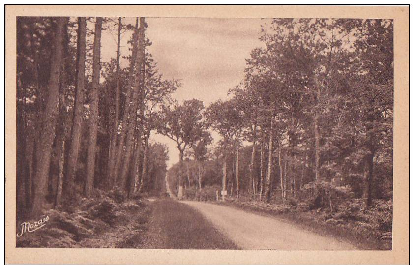 Cpa BAUD - En Forêt De Camors - Baud