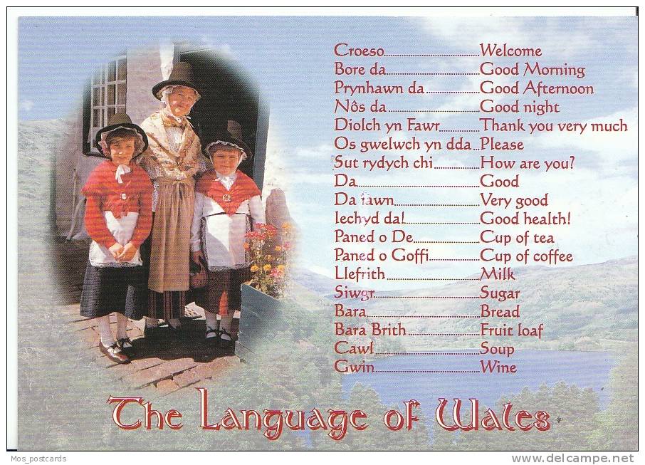 Wales Postcard - The Language Of  Wales   SL 2529 - Other & Unclassified