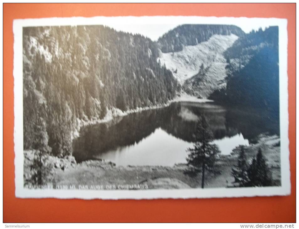 (3/1/24) AK "Taubensee" Das Auge Des Chiemgaus - Chiemgauer Alpen