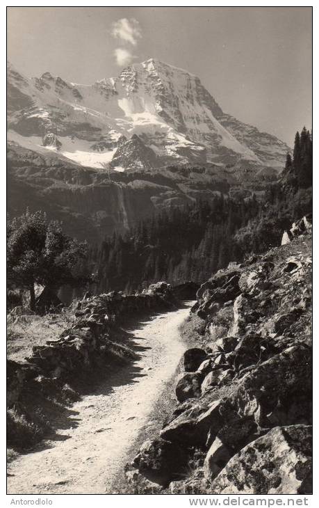 BEI TRACHSELLAUENEN, LAUTERBRUNNER BREITHORN - Lauenen