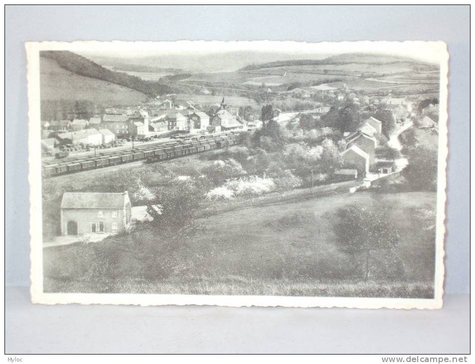 Forrières. Panorama  Vallée De L'Homme - Nassogne