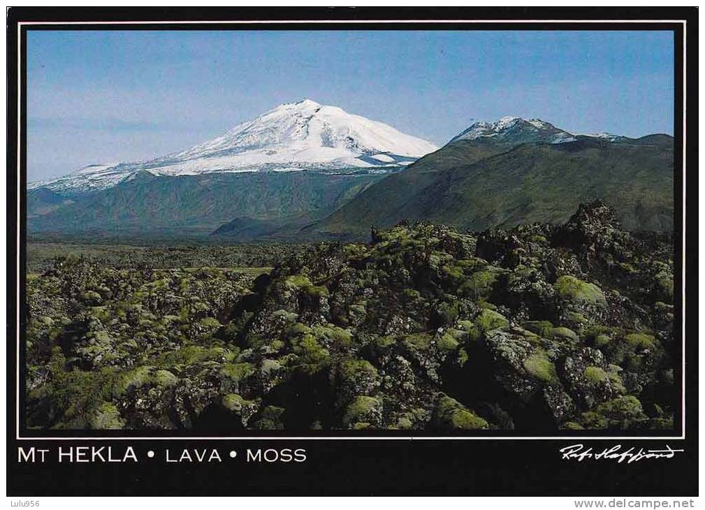 * * ICELAND * *  Mt Hekla - Lava - Moss ( Carte Vierge ) - Islanda