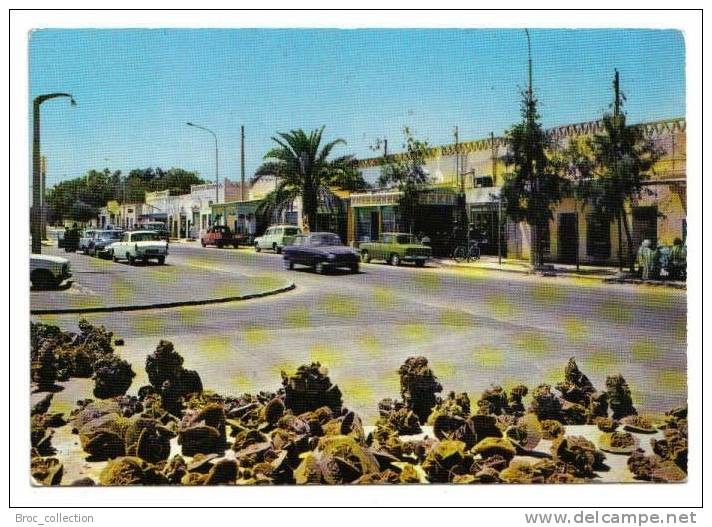 Ouargla, Place Du 1er Mai, Animée, Automobiles, Peugeot 204, 403 Fourgonnette, Renault 10, M 279 - Ouargla