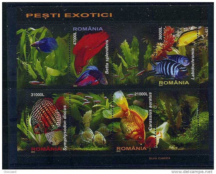 Lot 137 - B 14 - Roumanie ** Bloc N° 285 - Poissons Exotiques - Neufs