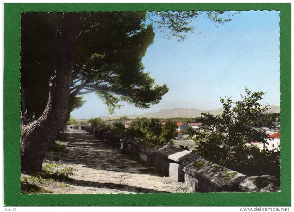 84 MAZAN .- Les Tombeaux Gallo-romains Au Fond:les Dentelles De Montmirail CPSM Grd Format Année 1960 Edit AUGIER - Mazan