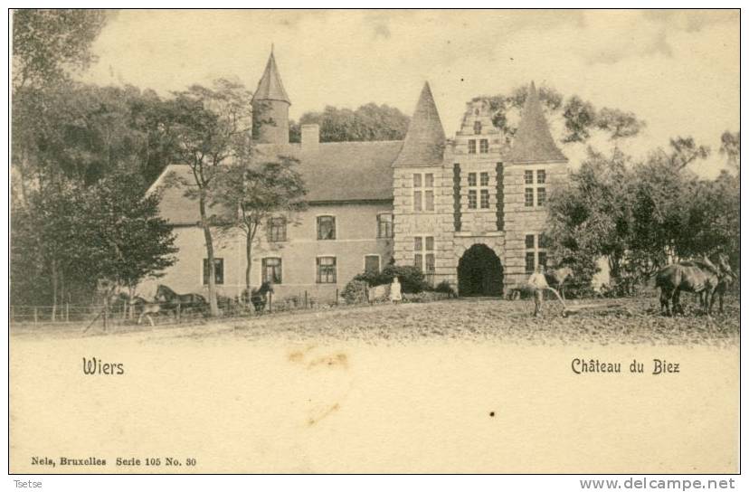 Wiers - Château Du Biez -1910 - Série Nels  ( Voir Verso ) - Péruwelz