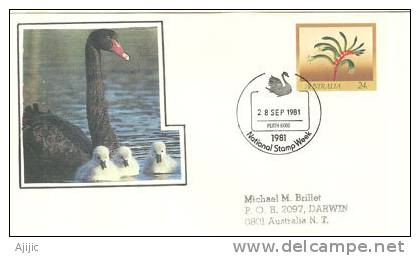 AUSTRALIE. Le Cygne Noir (Cygnus Atratus) Entier Postal Perth 1981 - Cisnes