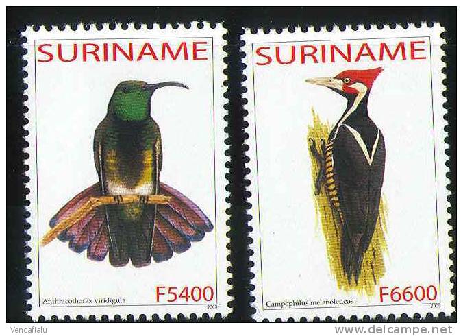 Surinam 2005 - Birds, Set Of 2 Stamps, MNH - Hummingbirds