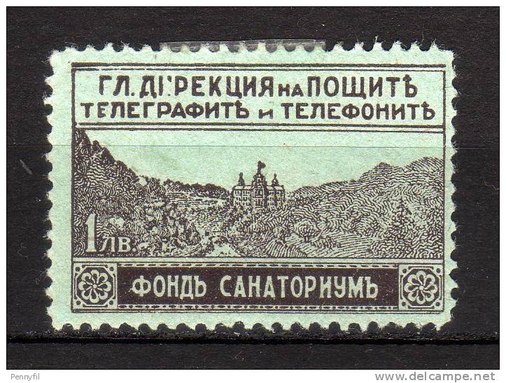 BULGARIA - 1925/29 YT 1 * EXPRES - Exprespost