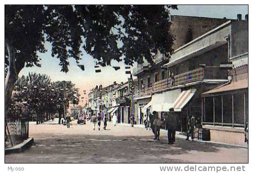 TEBESSA Le Cours Carnot Un Jour De Fete - Tebessa