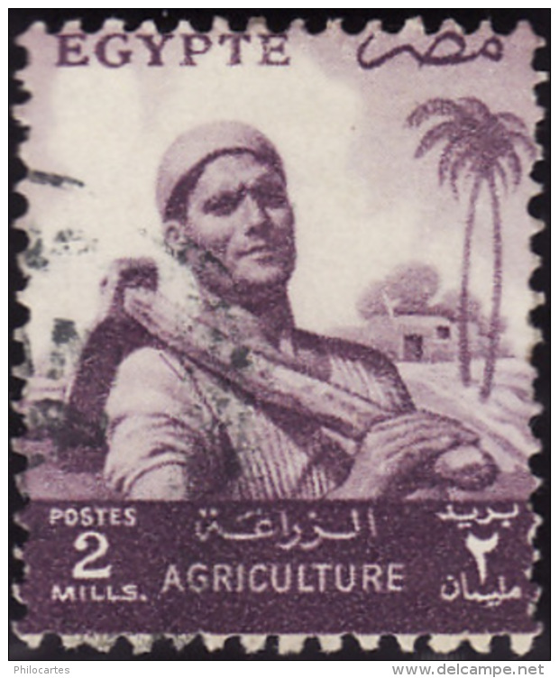 EGYPTE 1954  -     YT   366    -  Agriculteur -  Oblitéré - Used Stamps