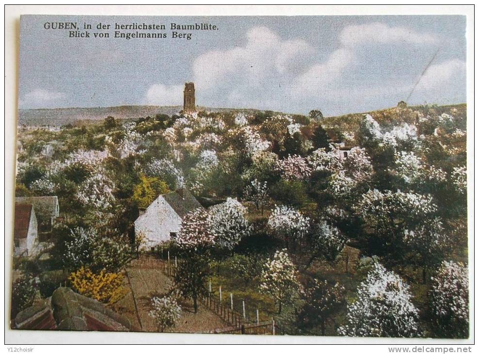 CPM GUBEN IN DER HERRLICHSTEN BAUMBLUTE BLICK VON ENGELMANNS BERG - Guben