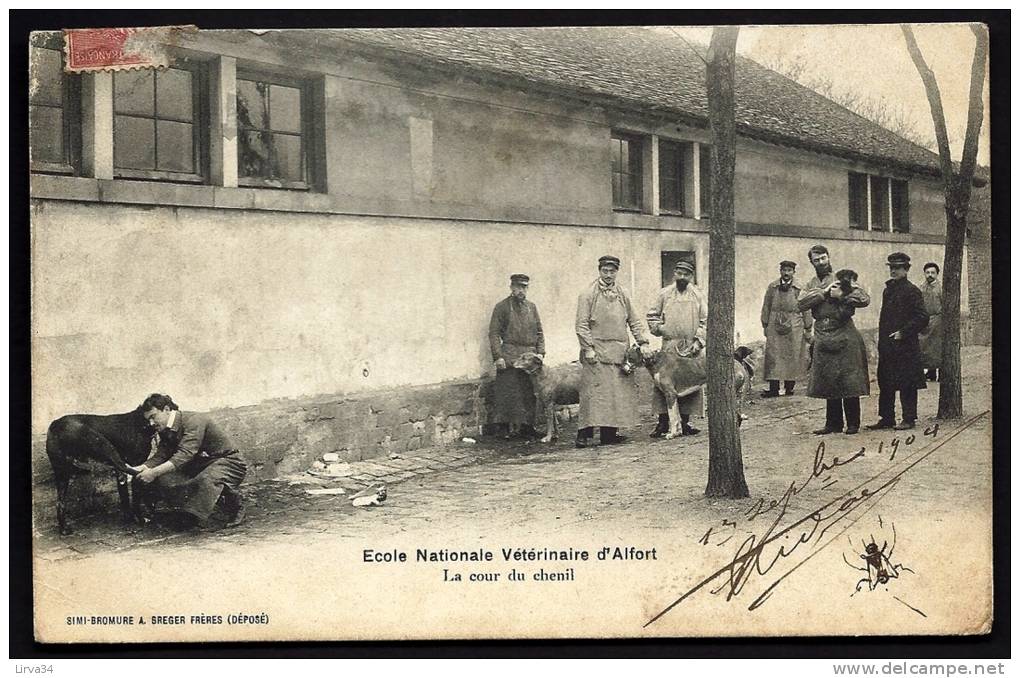 CPA ANCIENNE- FRANCE- ALFORT (94)- ECOLE VETERINAIRE D'ALFORT- LA COUR DU CHENIL- TRES BELLE ANIMATION GROS PLAN - Alfortville