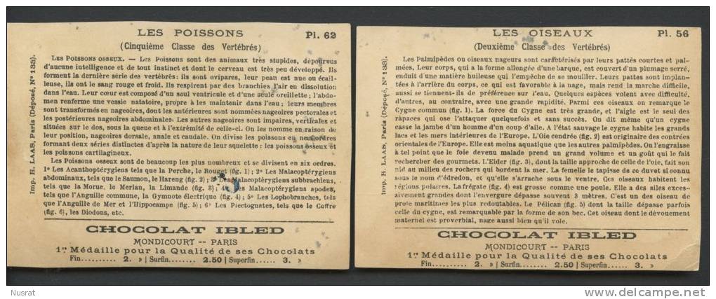 Chocolat Ibled,  Lot De 2 Chromos, Thème Oiseaux & Poisssons - Sonstige & Ohne Zuordnung