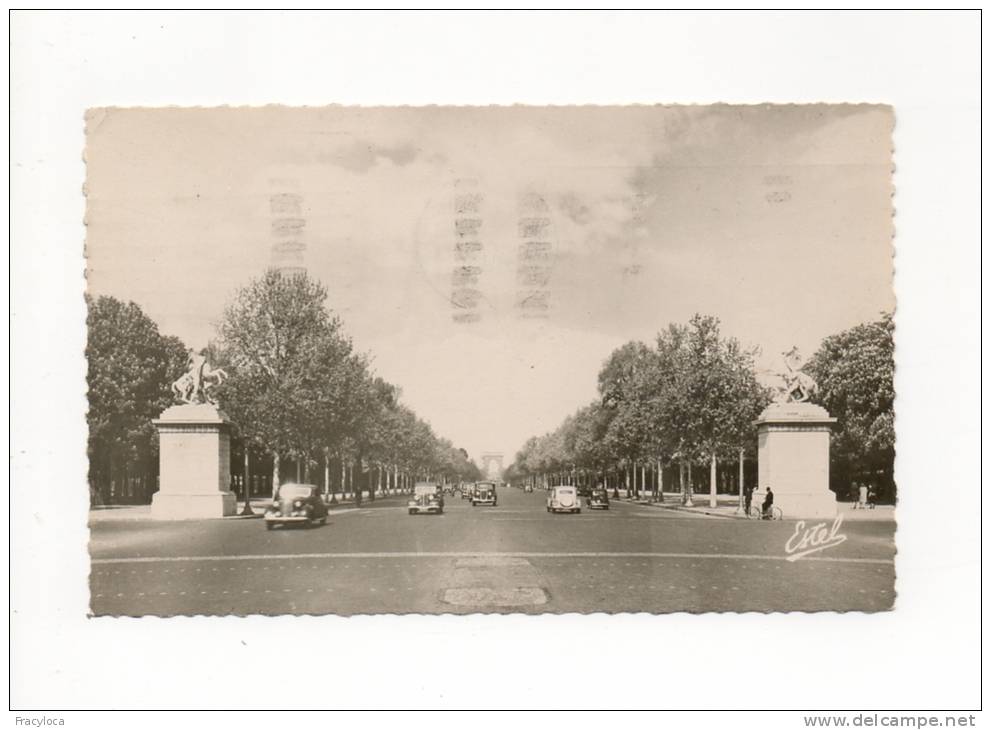 PARIS 75008  AVENUE DES CHAMPS ELYSEES  CHEVAUX DE MARLY (ESTEL) En 1950 (traction) - Arrondissement: 08