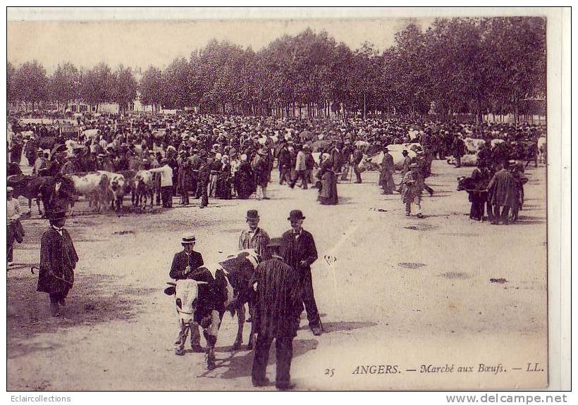 Angers 49   Place Larechefoucault  Marché Aux Boeufs - Angers