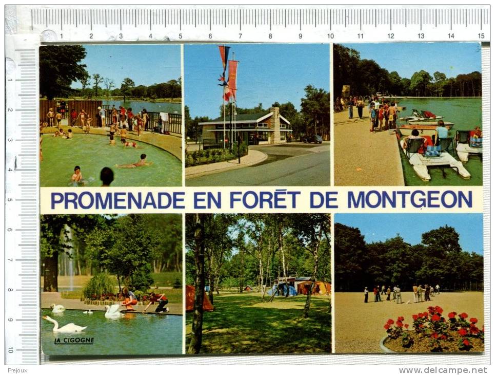 LE HAVRE -  Promenade En Forêt De  MONTGEON -  6 Vues - Forêt De Montgeon