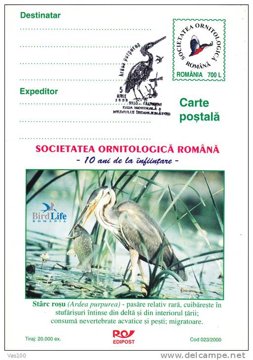 BIRDS, OISEAUX, ARDEA PURPUREA, POSTCARD STATIONERY, ENTIERE POSTAUX, UNUSED, 2000, ROMANIA - Pellicani