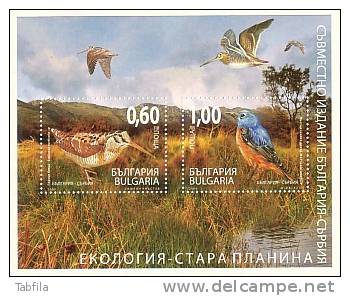 BULGARIA \ BULGARIE - 2009 - Ecology - Oiseaux - Emision Commune - Bulgarie - Serbien - Bl** (10) - Ungebraucht