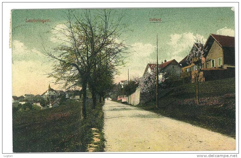 CARTOLINA   - LEUBRINGEN - EVILARD - PANORAMA  -  VIAGGIATA  NEL 1912 - SVIZZERA - SUISSE - Evilard