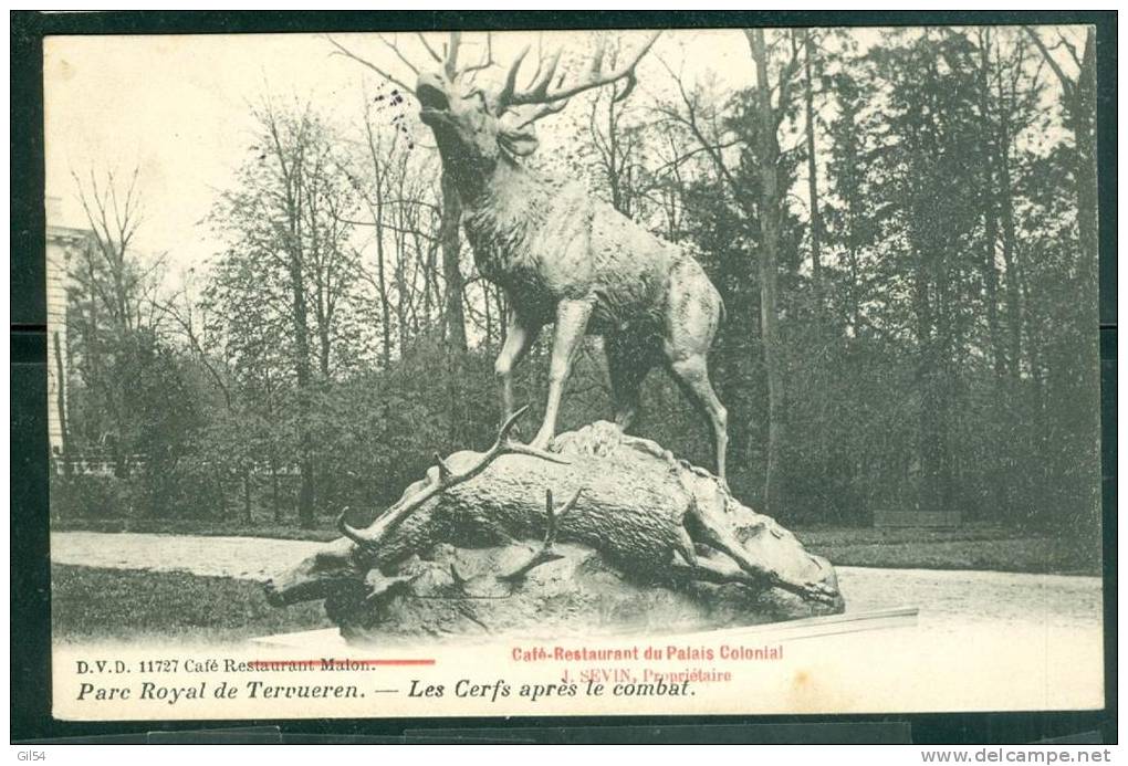 Parc Royal De Tervueren - Les Cerfs Après Le Combat  - Bck179 - Tervuren