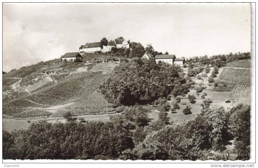 CPSM OFFENBURG (Allemagne-Bade Wurtemberg) - Umgebung : Schloss Durbach - Offenburg