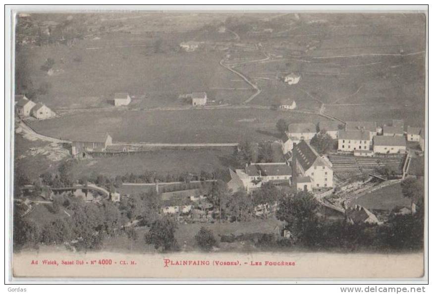 France - Vosges - Plainfaing - Les Fougeres - Plainfaing