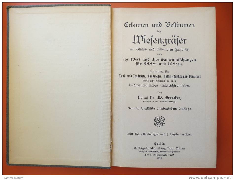 Dr. W. Strecker "Erkennen Und Bestimmen Der Wiesengräser" Im Blüten- Und Blütenlosen Zustand Von 1923 - Botanik