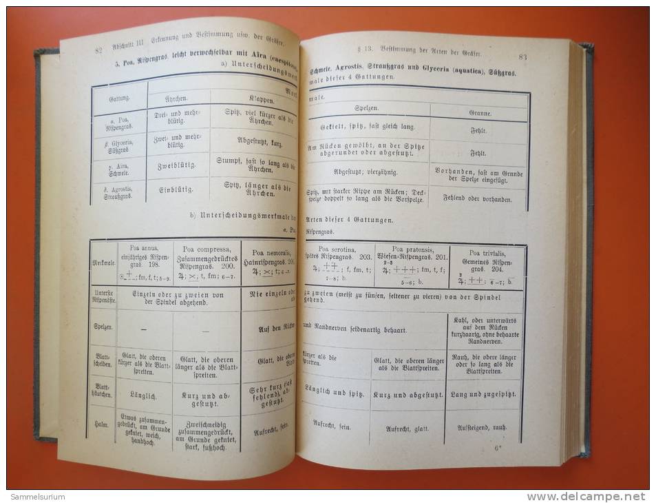 Dr. W. Strecker "Erkennen Und Bestimmen Der Wiesengräser" Im Blüten- Und Blütenlosen Zustand Von 1923 - Natuur