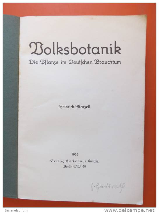 Heinrich Marzell "Volksbotanik" Die Pflanze Im Deutschen Brauchtum Von 1935 - Botanik