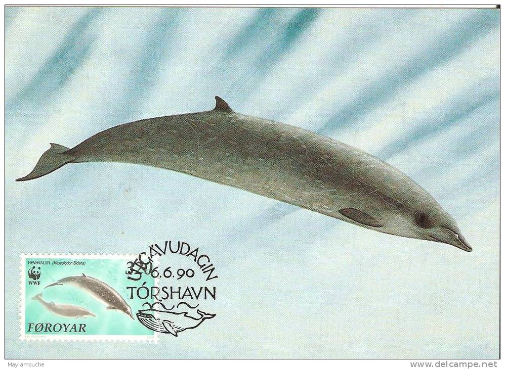 Foroyar (baleine - Faeröer