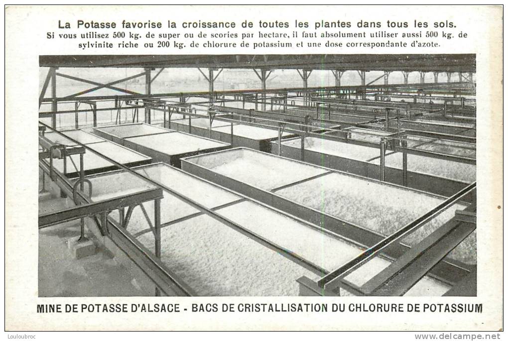 MINE DE POTASSE D'ALSACE BACS DE CRISTALLISATION DU CHLORURE DE POTASSIUM - Bergbau