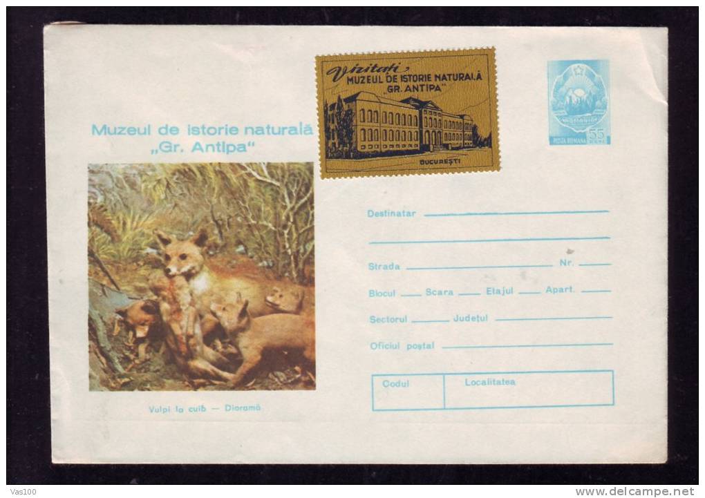 FOX, NATURAL HISTORY MUSEUM STAMP, COVER STATIONERY, ENTIERE POSTAUX, 1974, ROMANIA - Conejos