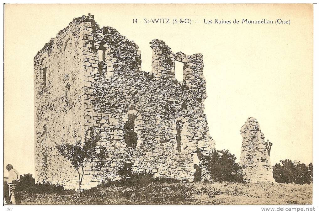 1376 - St-Witz - Ruines De Montmélian - Saint-Witz