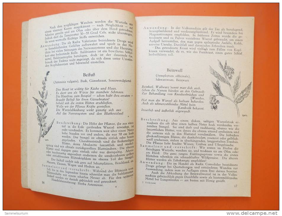 Hilde Sieg "50 Heilpflanzen" Fröhliches Sammel-ABC Für Schule Und Haus Vom 1947 - Botanik