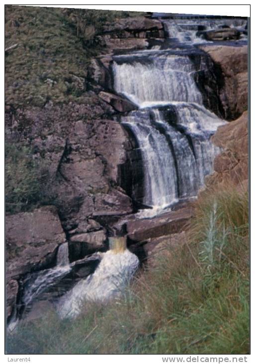 (157) Australia - VIC - Agnes Falls - Gippsland