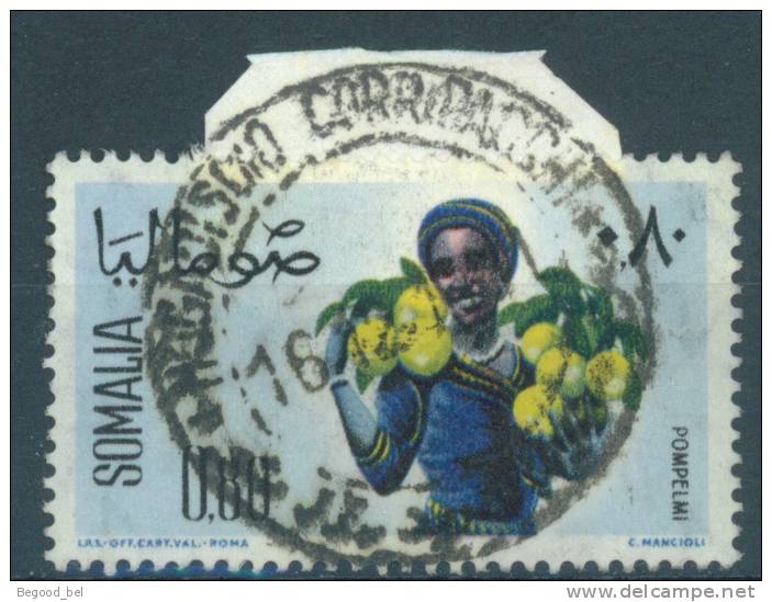 SOMALIE - 1961 -  USED/OBLIT. PAMPLEMOUSSE GRAPEFRUIT S/ FRAGMENT Mi 23 Yv 16-  Lot 7841 - Somalie (1960-...)